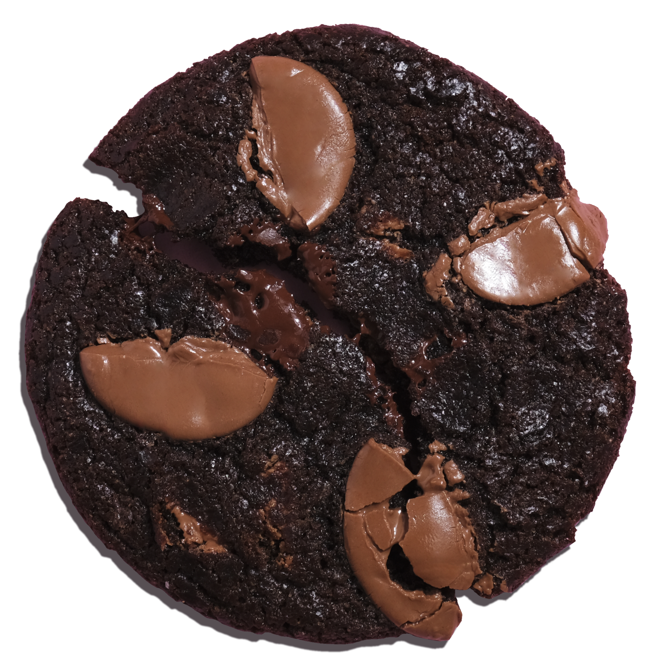 Double Chocolate cookie