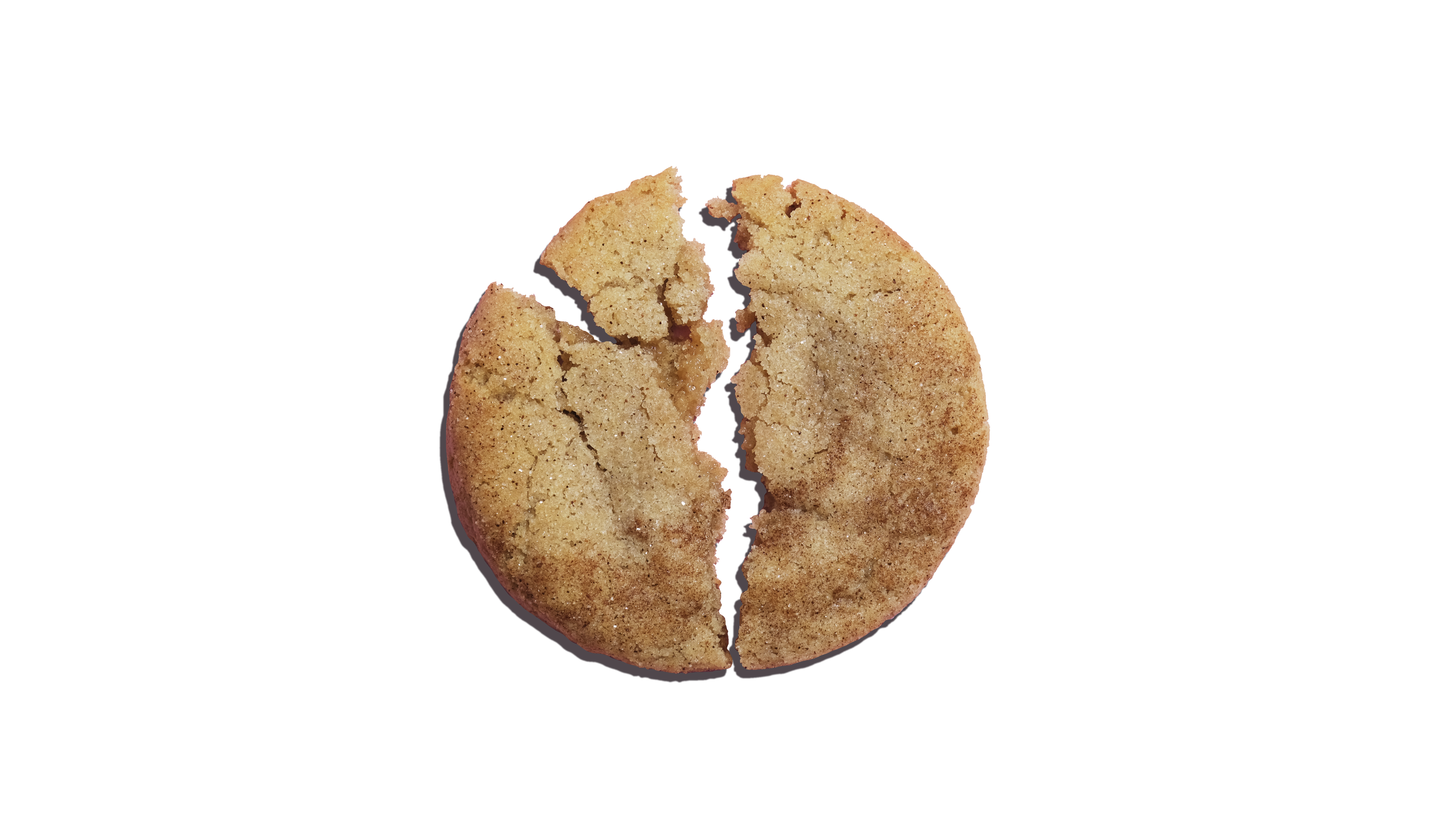 Snickerdoodle cookie